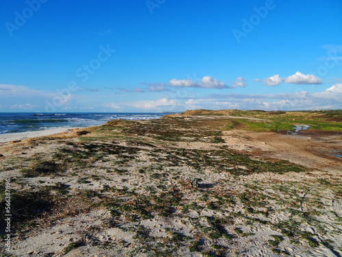 beach on western shore of Sardynia photo