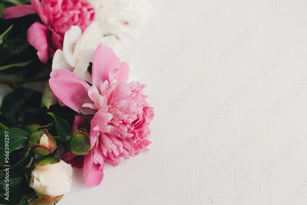Beautiful peonies on rustic white wood, space for text. Stylish floral greeting card template. Fresh pink and white peony flowers border on wooden background, moody banner Beautiful peonies on rustic white wood, space for text. Stylish floral greeting card template. Fresh pink and white peony flowers border on wooden background, moody banner