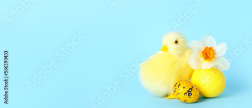 Cute yellow chicken, Easter eggs and flower on light blue background with space for text