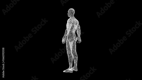 3D human body rotates on black background. Object dissolved white flickering particles 60 FPS. Science concept. Abstract bg for title, presentation. Holographic screensaver. 3D animation.