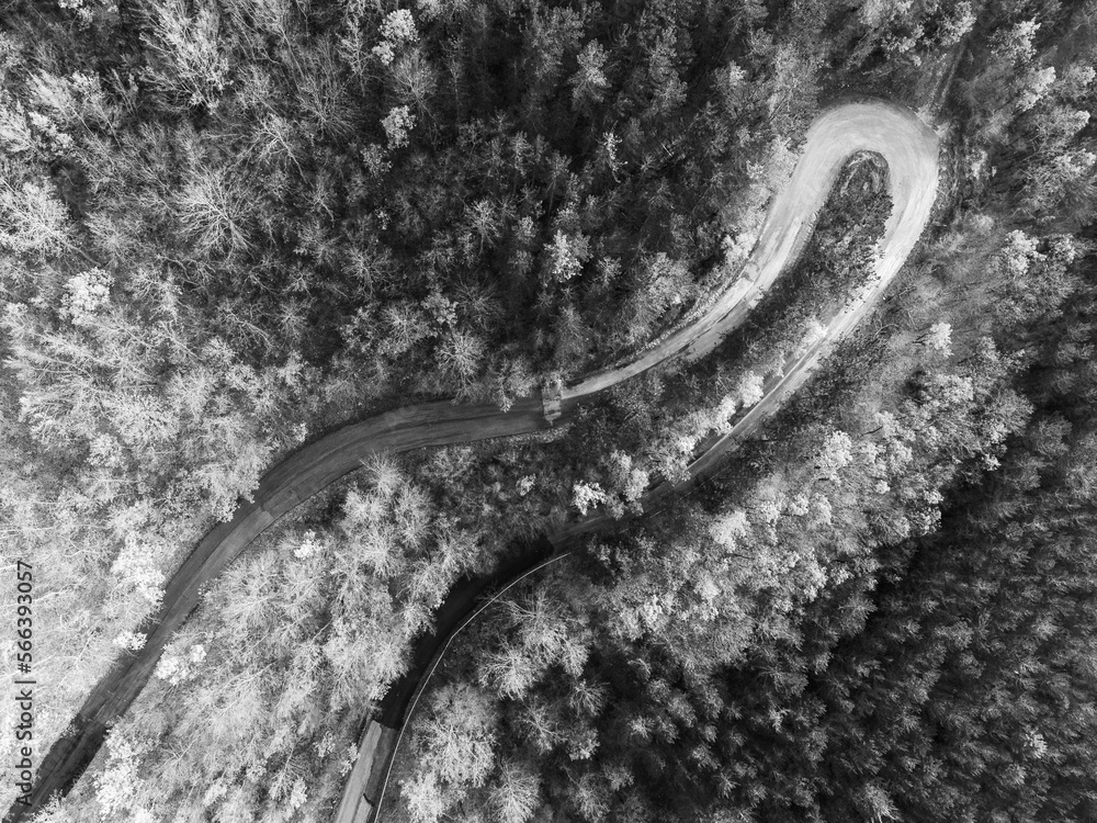 Top-down view of an hairpin bend in the middle of a forest