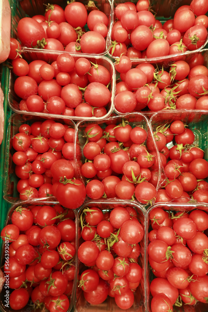 fresh tomato with water drop in a bow fresh tomato with water drop in a bow