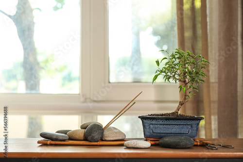 Bonsai tree with spa stones...