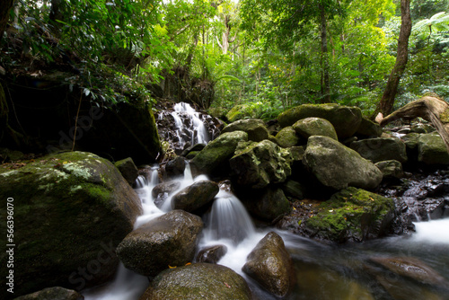 A beautiful unique waterfall from the daintree national park world herritage area queensland Australia.