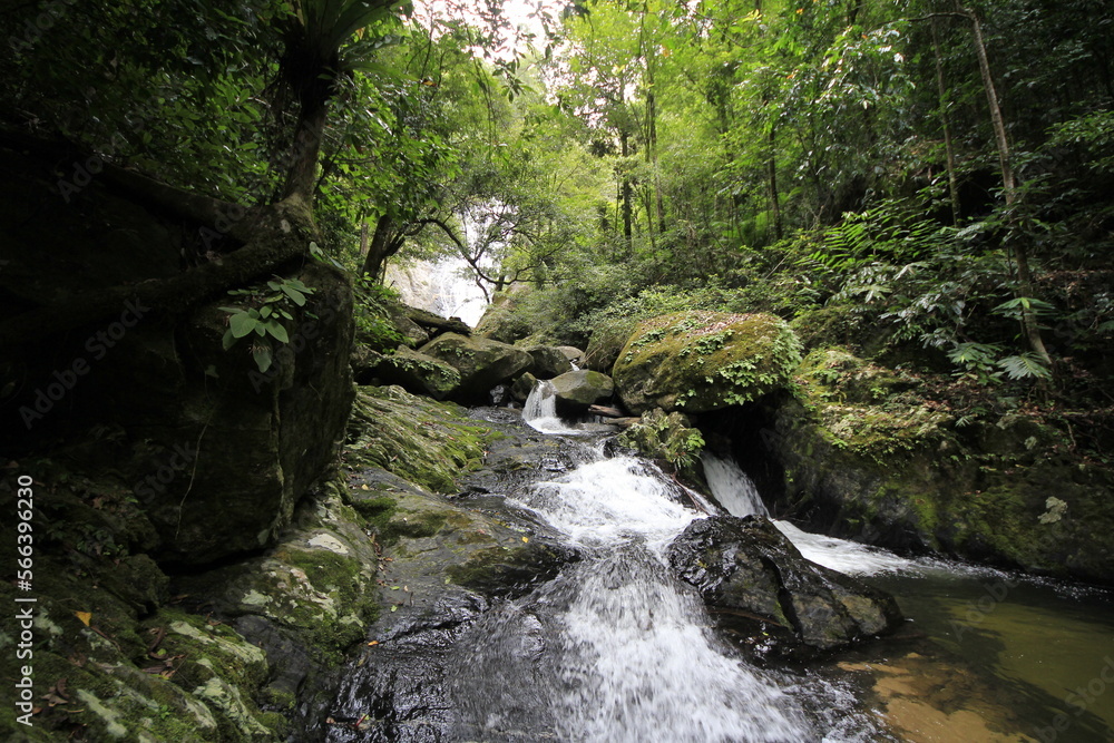 A beautiful unique waterfall from the daintree national park world herritage area queensland Australia. A beautiful unique waterfall from the daintree national park world herritage area queensland Australia.