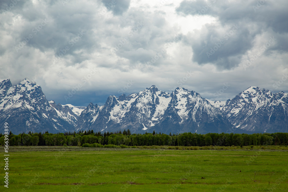 Fototapeta premium Grand Teton National Park