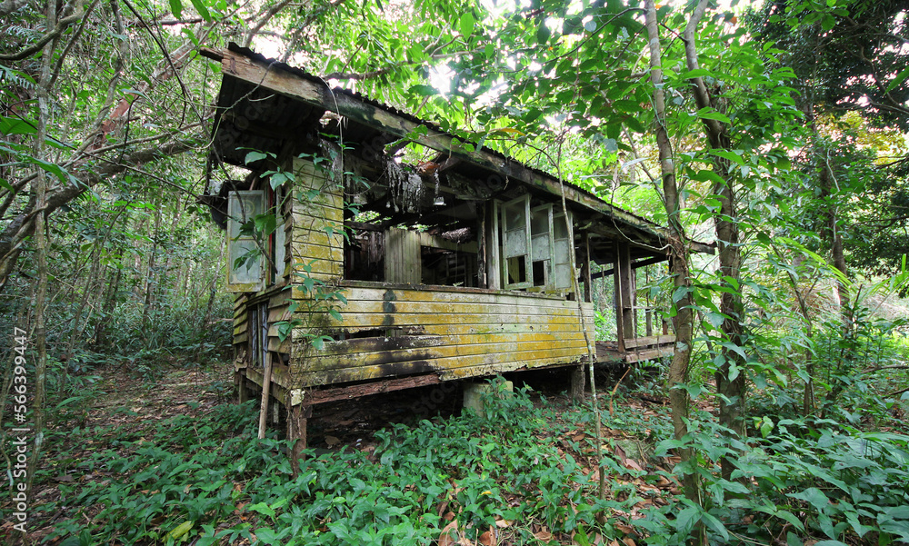 An abandoned house in the tropical rainforest. An abandoned house in the tropical rainforest.