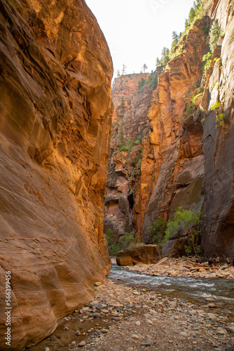 The Narrows at Zion National Park