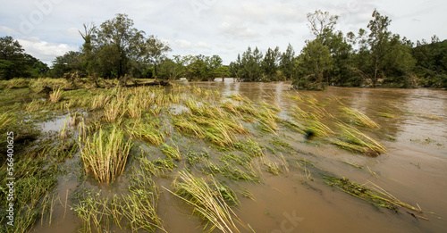 Flooding of the barron river in Cairns australia. Climate change effects photo