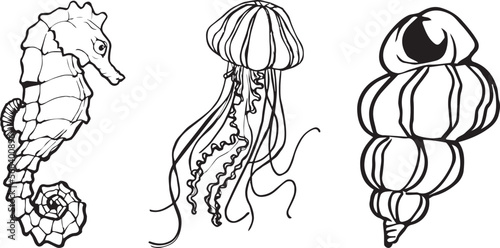 marine fauna jellyfish seahorse shell. marine fauna jellyfish seahorse shell