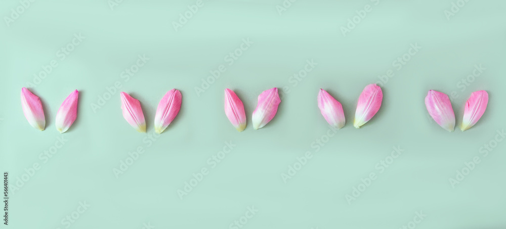 Pink tulip petals aligned on green background. Minimal creative concept for Easter celebration banner or card. Surreal design.