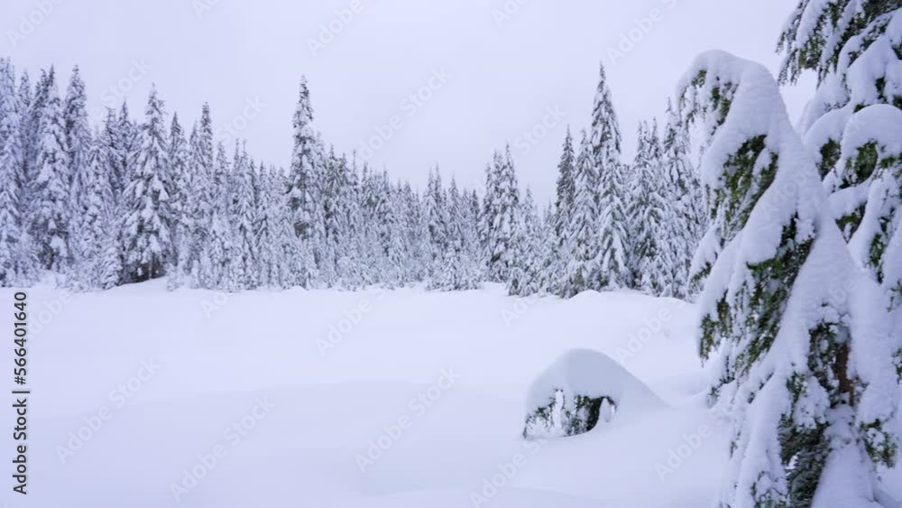 Establishing shot of winter snow trail in park in slow motion at summer day in Vancouver, Canada, North America. Day time on January 2023. Still camera. Establishing shot of winter snow trail in park in slow motion at summer day in Vancouver, Canada, North America. Day time on January 2023. Still camera.