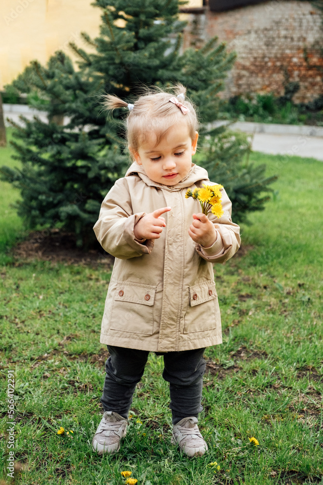 Little toddler baby girl in trench coat picking yellow dandelions in spring garden. Cute baby girl enjoying the simple pleasures of childhood and celebrating the beauty of spring Little toddler baby girl in trench coat picking yellow dandelions in spring garden. Cute baby girl enjoying the simple pleasures of childhood and celebrating the beauty of spring