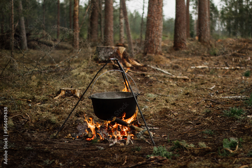 Pot boiling over a campfire in woods Pot boiling over a campfire in woods