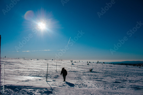 winter landscape © Oktawia