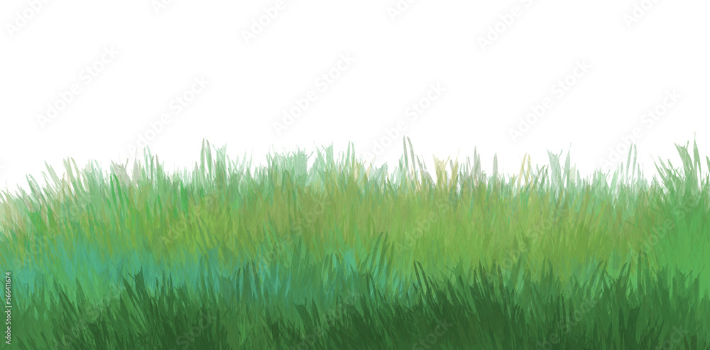 césped fondo de pantalla aislada fondo transparente césped fondo de pantalla aislada fondo transparente