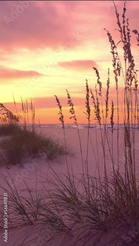 Vertical video of sunset over colorful ocean beach
