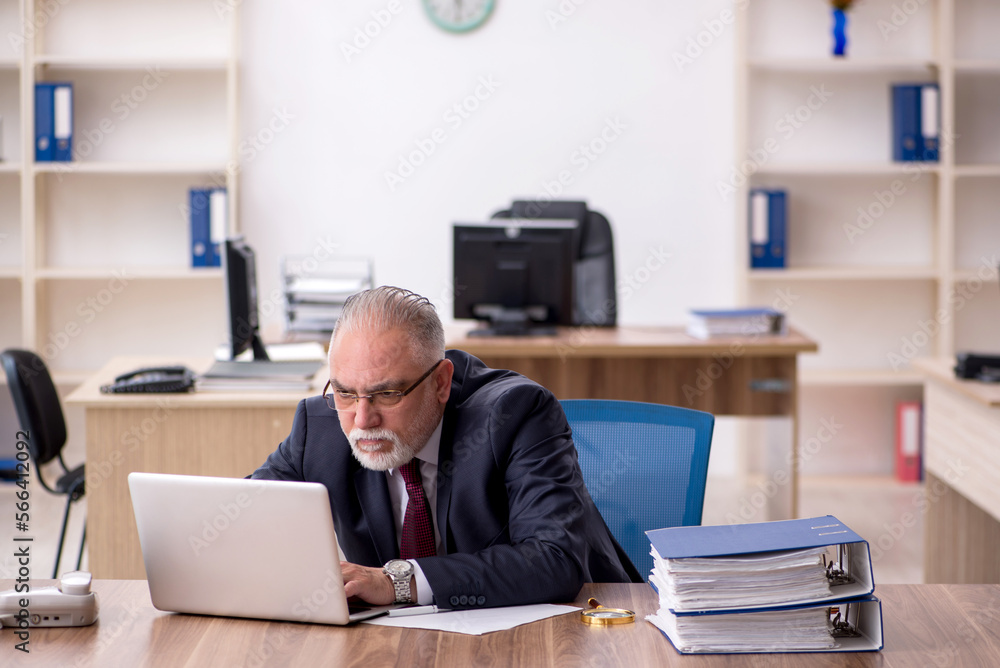Old male employee working in the office Old male employee working in the office