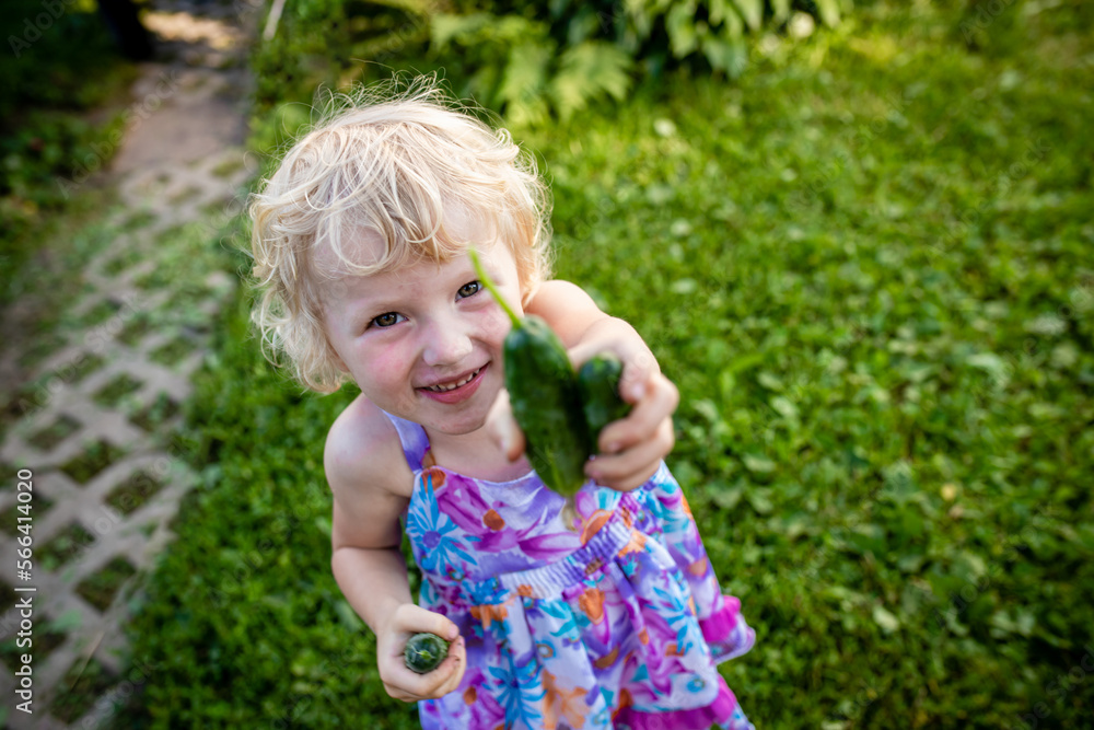 A little girl with an allergic rash on her face suggests trying a cucumber. The child suffers from allergy to cucumbers. A little girl with an allergic rash on her face suggests trying a cucumber. The child suffers from allergy to cucumbers.