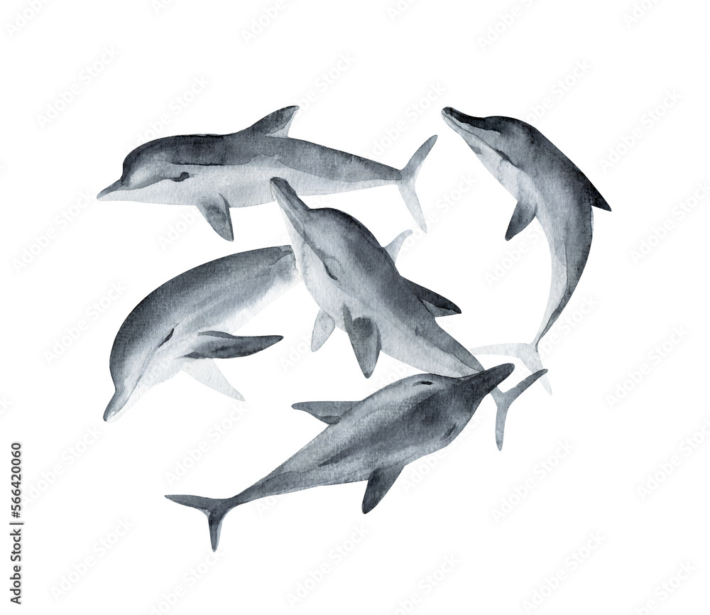 Watercolor cute dolphin . Hand painting postcard with dolphin isolated white background. Ocean animals Watercolor cute dolphin . Hand painting postcard with dolphin isolated white background. Ocean animals