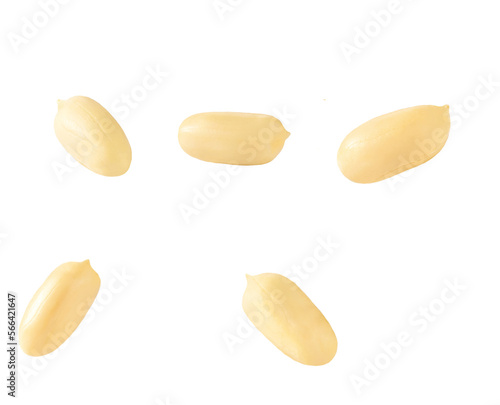roasted peanuts isolated isolated on white background.