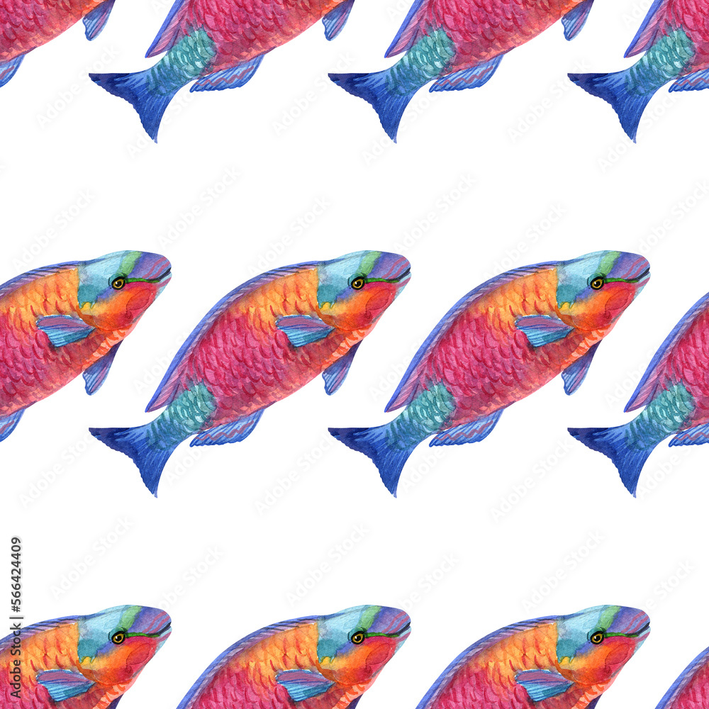fish pattern watercolor. watercolor cute fish pattern. Watercolor cute animal.  Watercolor cute fish. Hand painting  isolated white background. fish