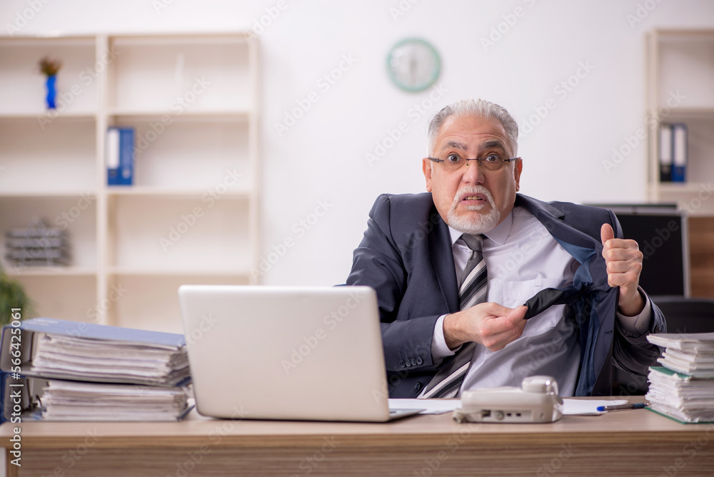 Old male boss employee working in the office Old male boss employee working in the office