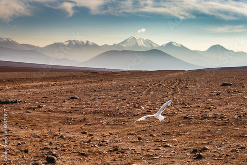 Volcanic landscape in Bolivia altiplano near Chilean atacama border  South America