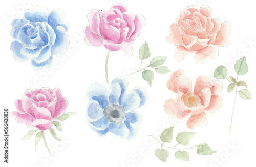 set of roses watercolor clip art