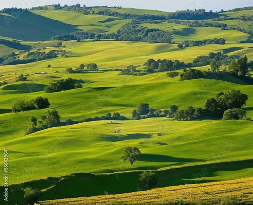 landscape with beautiful green hills, tuscany, italy © ozun