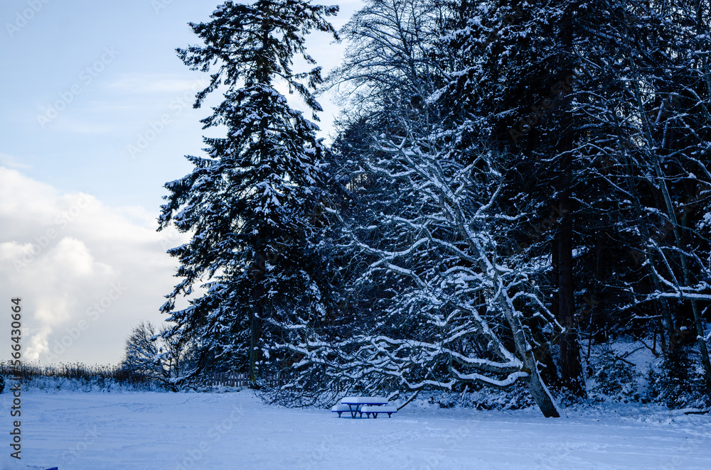 Winter picnic A picnic table sits covered in deep snow in the shade of