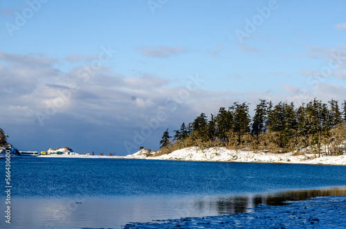 Winter Lagoon
A cold clear day of winter at Pipers Lagoon in Nanaimo BC