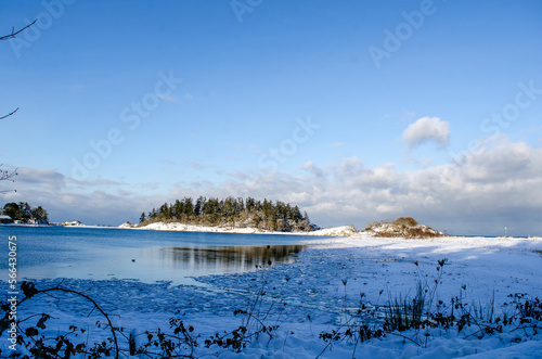 Winters Day
Still waters, partially frozen, reflect the winter scene at Pipers Lagoon in Nanaimo