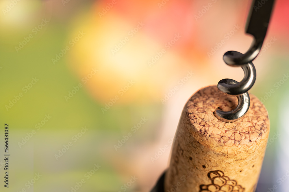 Corkscrew pulls out a cork from the bottle of wine. Close-up, Blurred background. space for text. Corkscrew pulls out a cork from the bottle of wine. Close-up, Blurred background. space for text.
