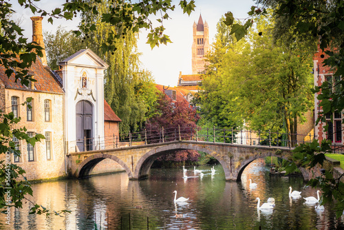 Public park and canal near monastery with swans and ducks, Bruges, Belgium
