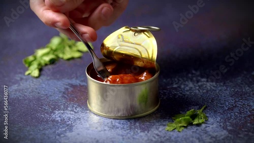 Hand with a fork picking up canned octopus with american sauce on a dark blue table with parsley. Ready to eat.