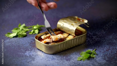 Hands opening a can of sardines with tomato sauce on a dark blue table with parsley. Ready to eat.