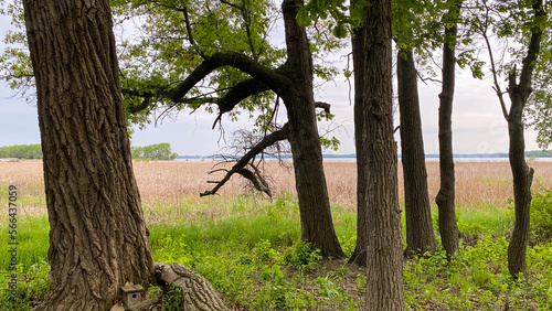 path in the park by the lake