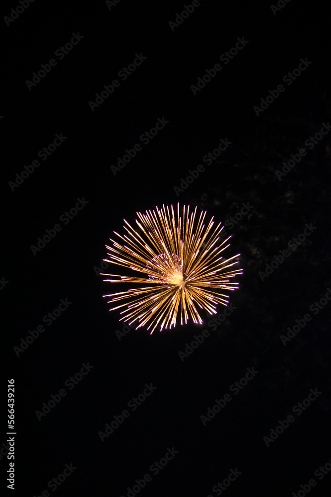 Fireworks light up the sky with dazzling display. Shining Fireworks with golden ring. Celebration fireworks. 