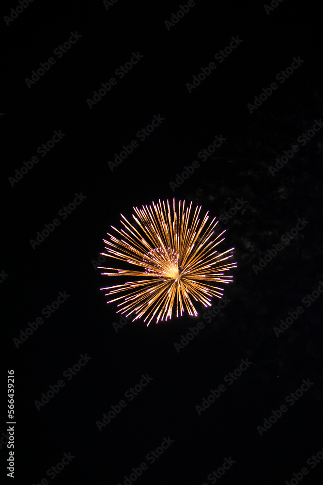 Fireworks light up the sky with dazzling display. Shining Fireworks with golden ring. Celebration fireworks. Fireworks light up the sky with dazzling display. Shining Fireworks with golden ring. Celebration fireworks.