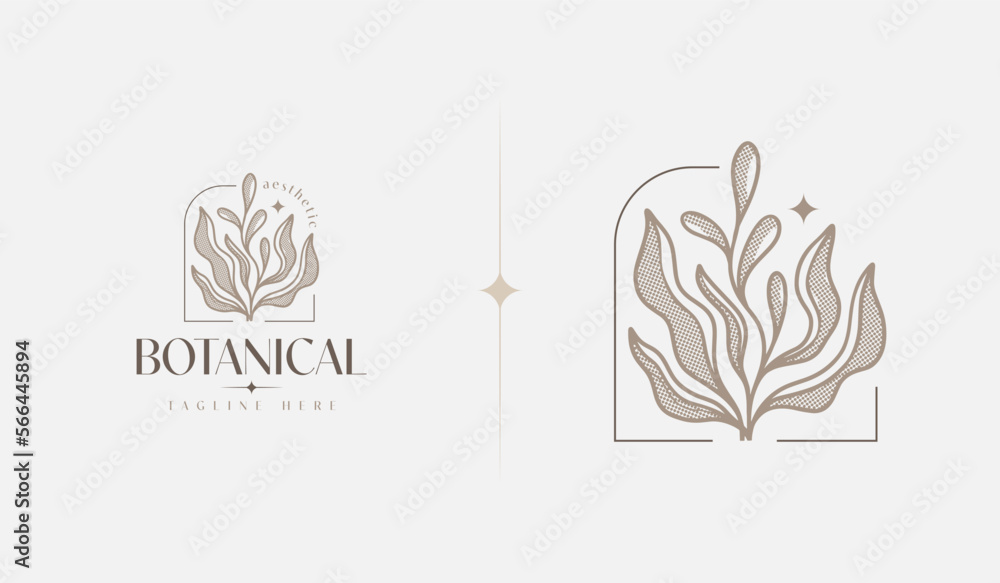 Fototapeta premium Abstract Plant Botanical Flower Line Art Line Drawing. Universal creative premium symbol. Vector illustration. Creative Minimal design template