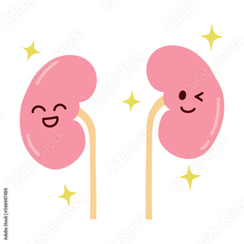 元気で笑顔の腎臓のシンプルなイラスト