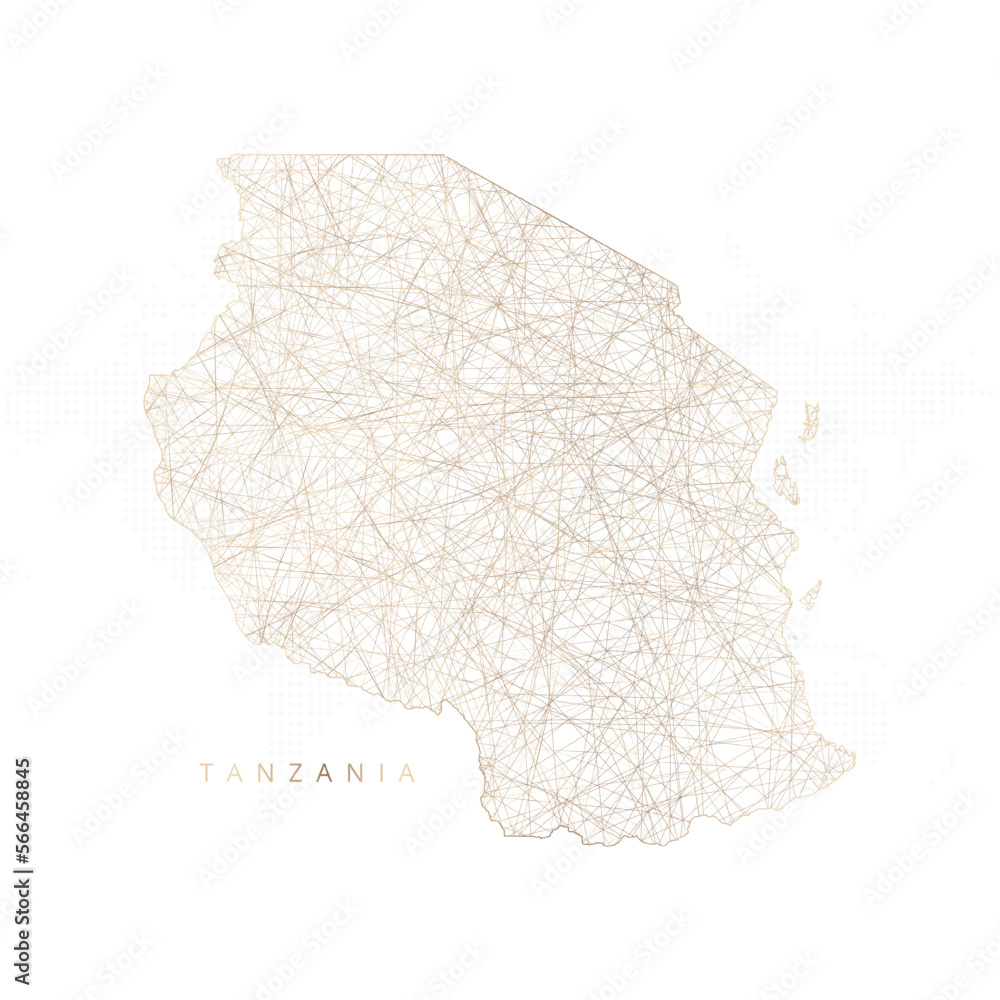 Low poly map of Tanzania. Gold polygonal wireframe. Glittering vector ...