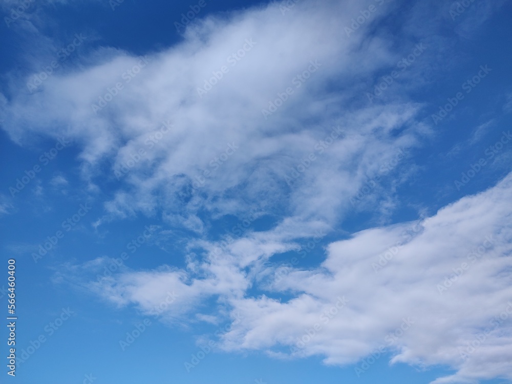 Obraz premium 東京のそら(23.1.31)