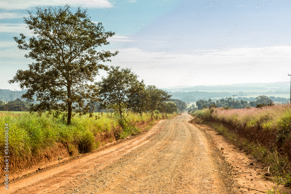 Dirt road in rural area with fence dividing route of crops and trees