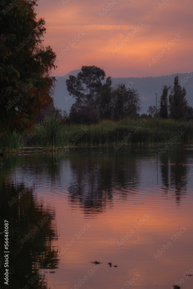 Obraz premium Atardecer en lago bosque 