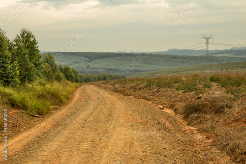 Dirt road in rural area with fence dividing route of crops and trees
