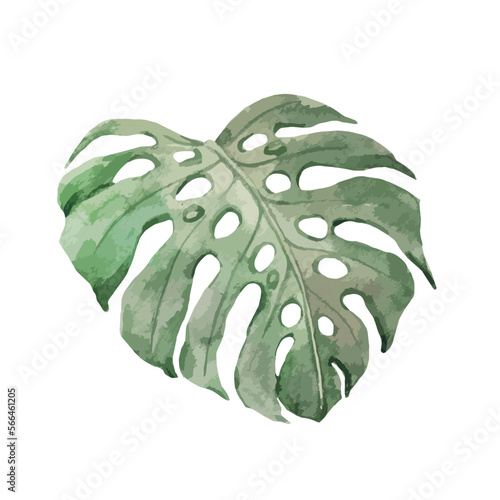 Beautiful autotraced vector clip art stock illustration with hand drawn watercolor colorful tropical palm leaves.