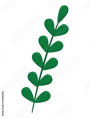 green leaves branch