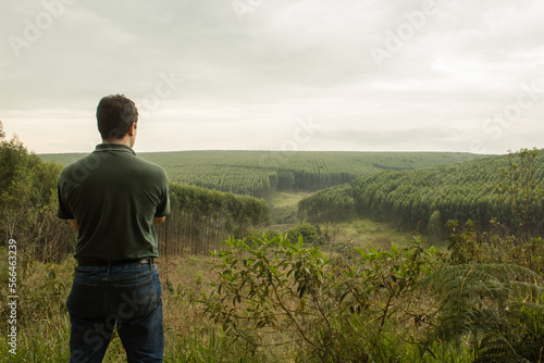 Farmer from behind looking to green hills with eucalyptus forest and cerrado areas
